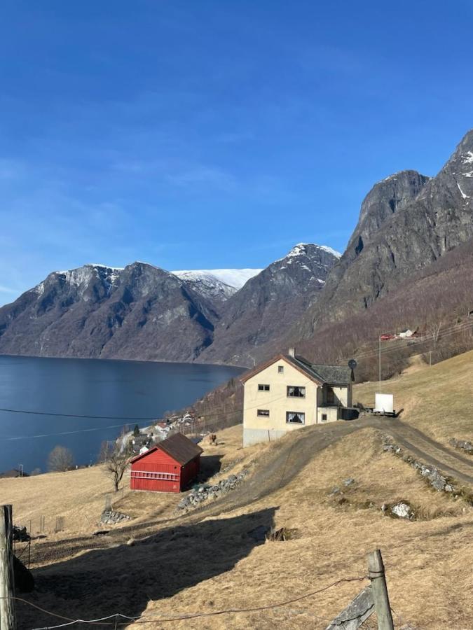 Aurland Stegastein Apartment Экстерьер фото