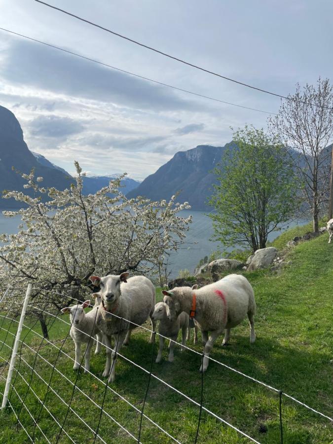 Aurland Stegastein Apartment Экстерьер фото