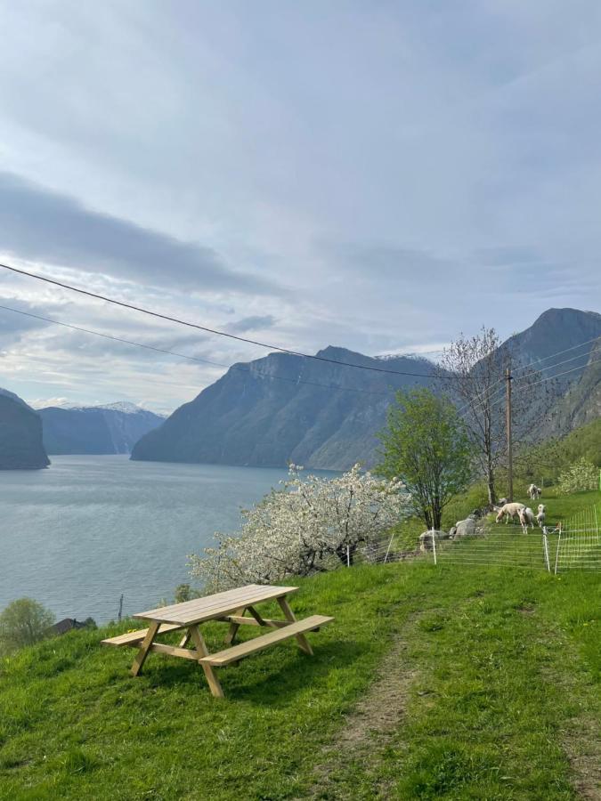 Aurland Stegastein Apartment Экстерьер фото