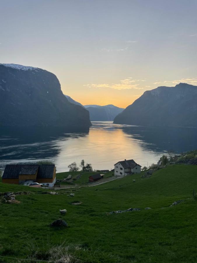 Aurland Stegastein Apartment Экстерьер фото